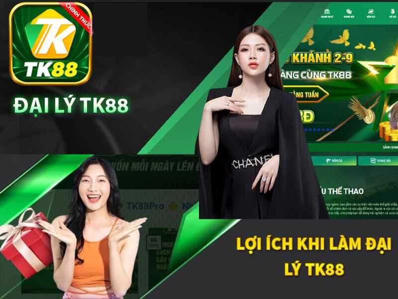 Đại lý TK88 một tháng kiếm bao nhiêu tiền?